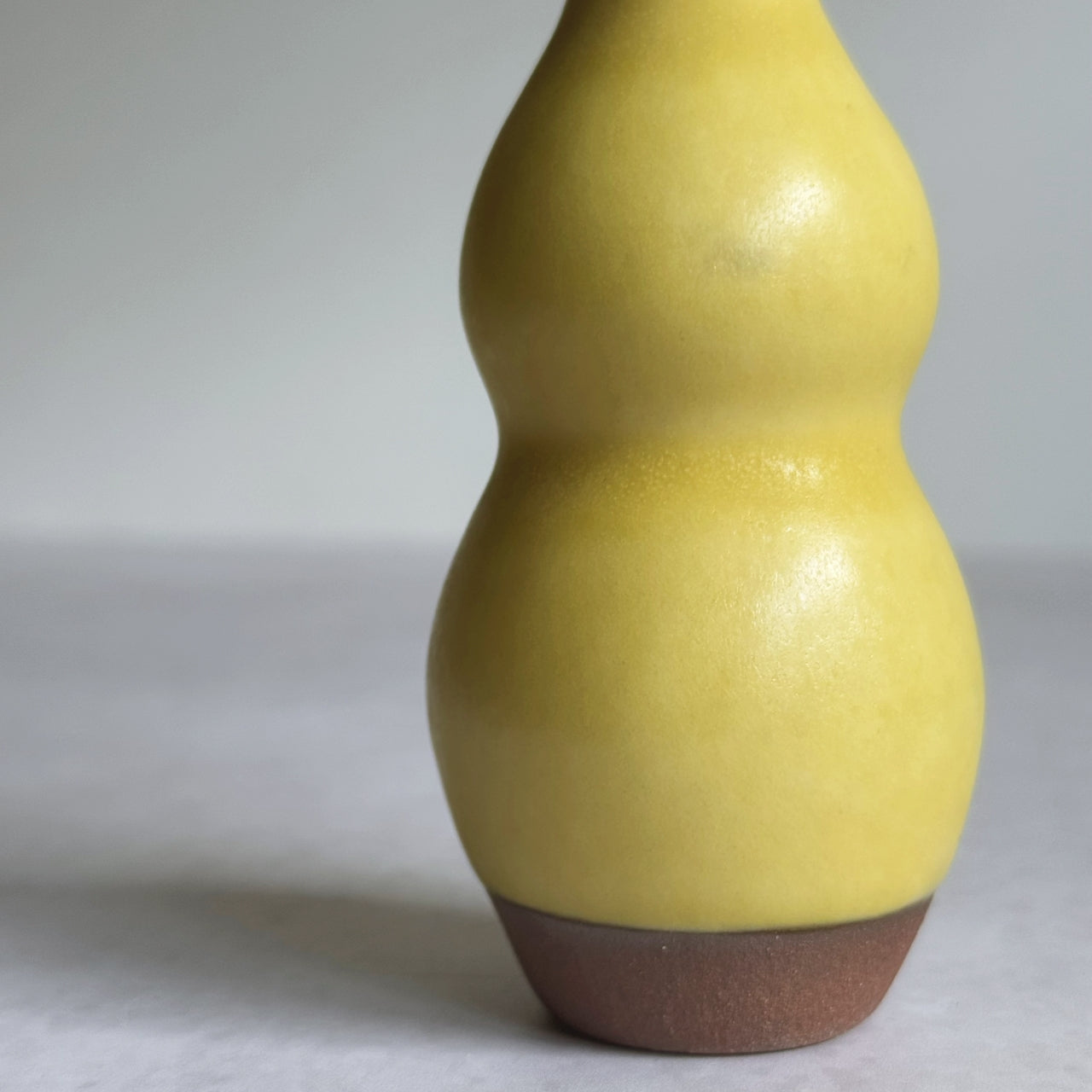 Small Vase & Dried Posy Gift Set - Yuzu no.6