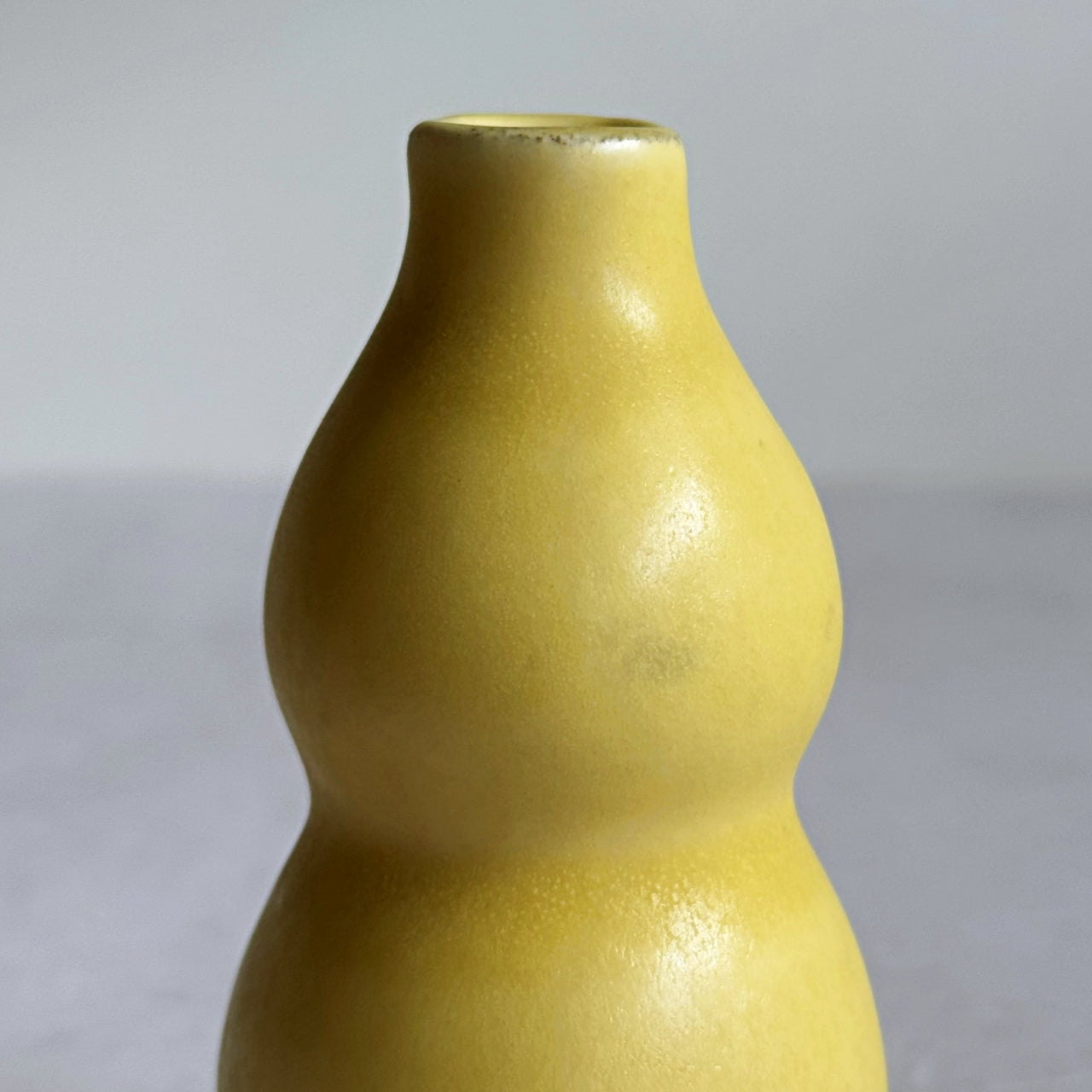 Small Vase & Dried Posy Gift Set - Yuzu no.6