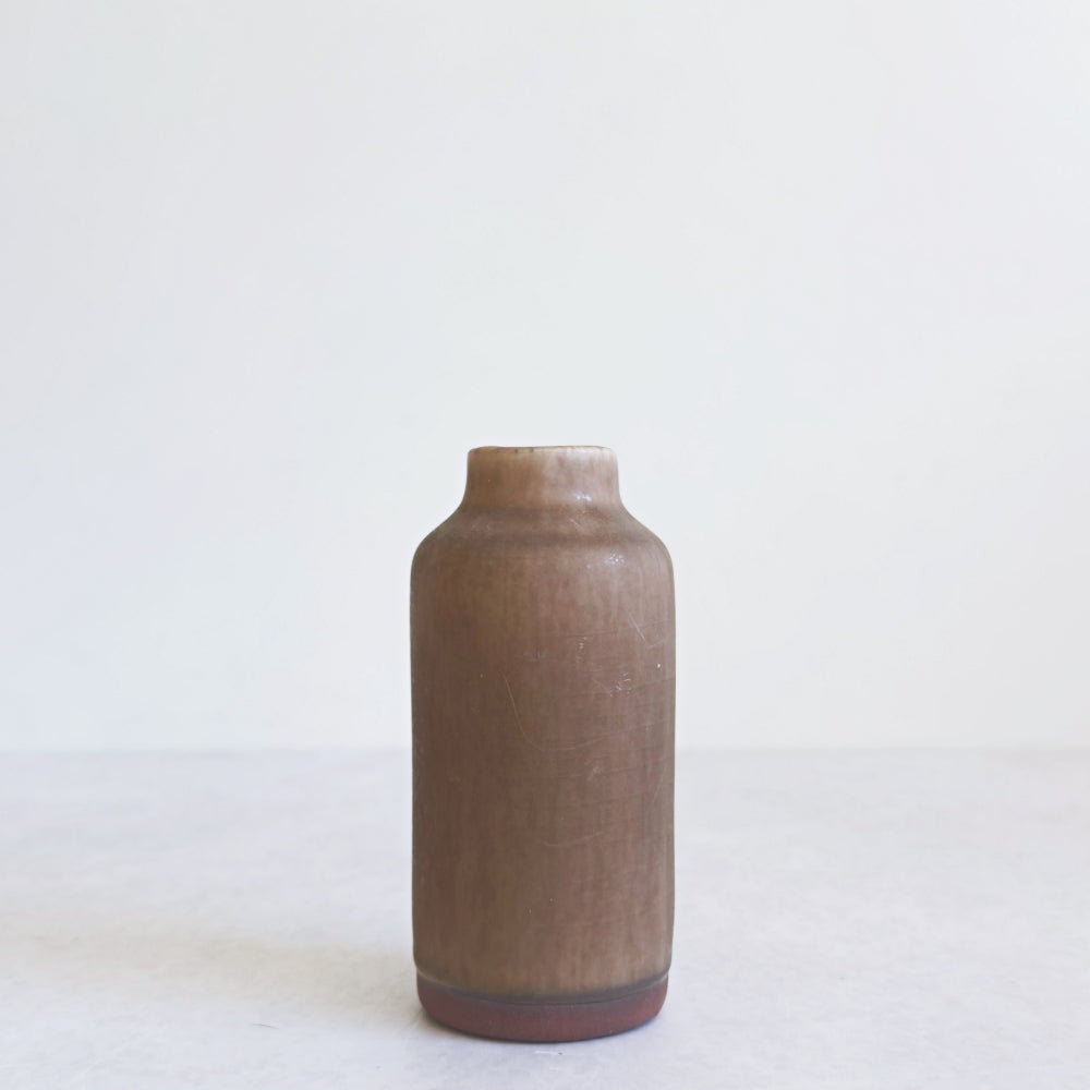 Small Vase & Dried Posy Gift Set - Chestnut no.1