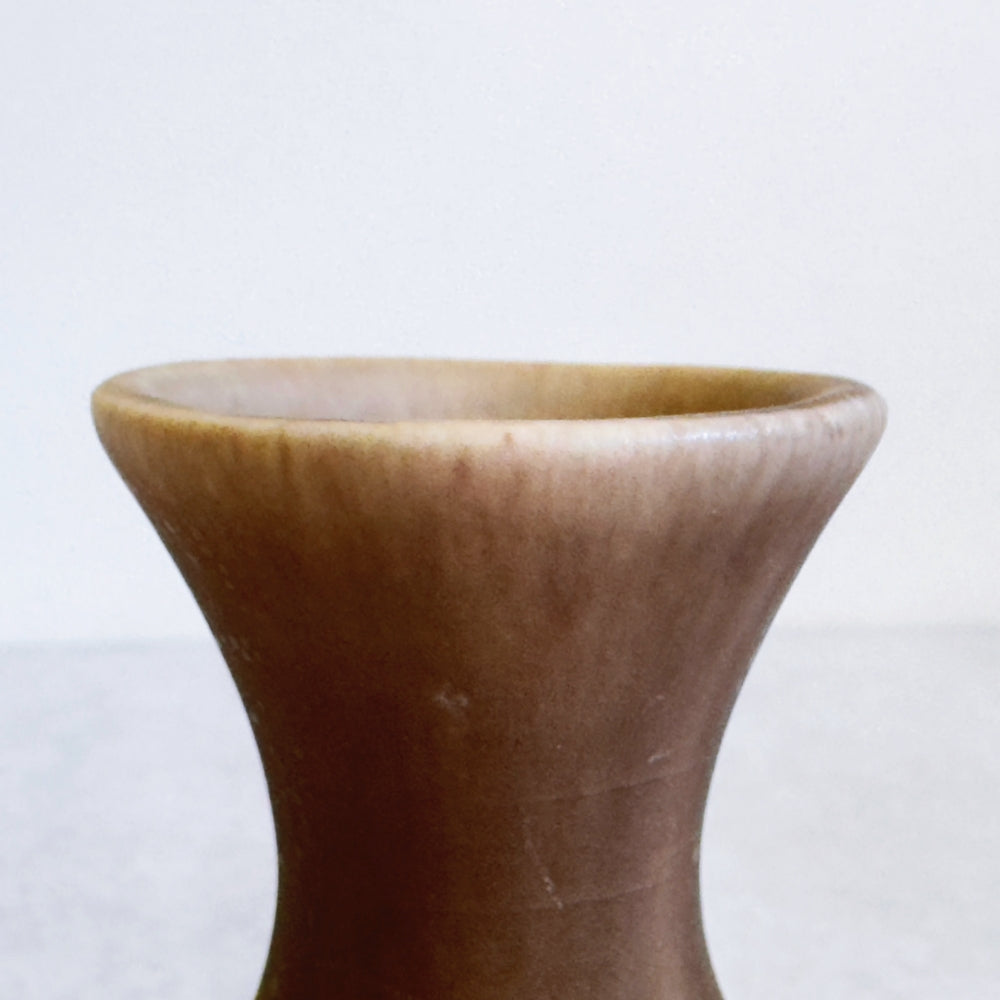 Small Vase & Dried Posy Gift Set - Chestnut no.2