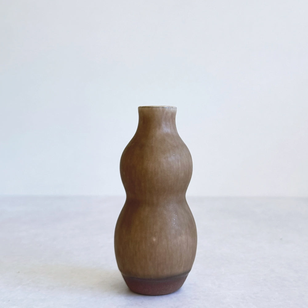 Small Vase & Dried Posy Gift Set - Chestnut no.5